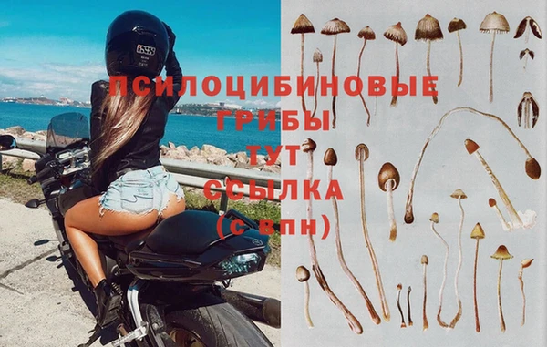 мяу мяу кристалл Аркадак