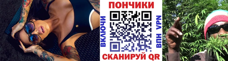shop Telegram блэк спрут ссылки Пугачёв МАРИХУАНА гибрид